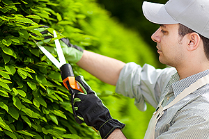 kertgondoz�s Balatonfenyves